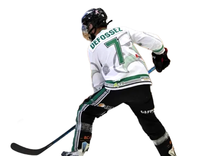 Jeremy Defossez - Roller Hockey Elite palmares
